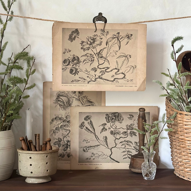 les planches : les &quot;Fleurs idéales&quot; par Jean Pillement