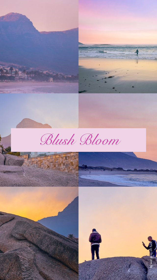 Blush Bloom - 1 Preset (6 Styles) – Mein Look für deine Fotos 