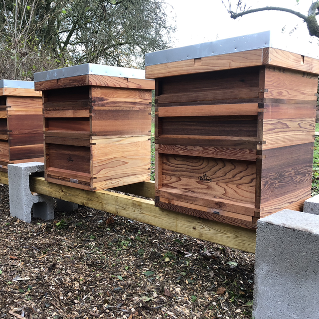 Adopt a Hive