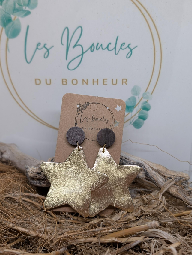 Boucles d&#039;oreilles Star s033
