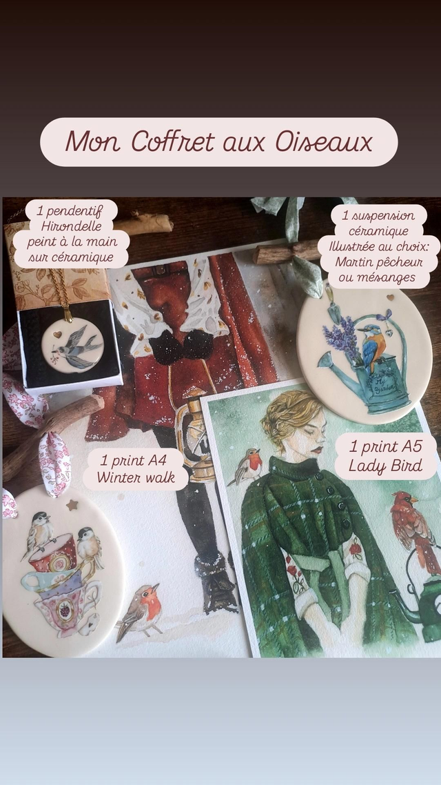 🐦 Mon Coffret aux Oiseaux ✨️