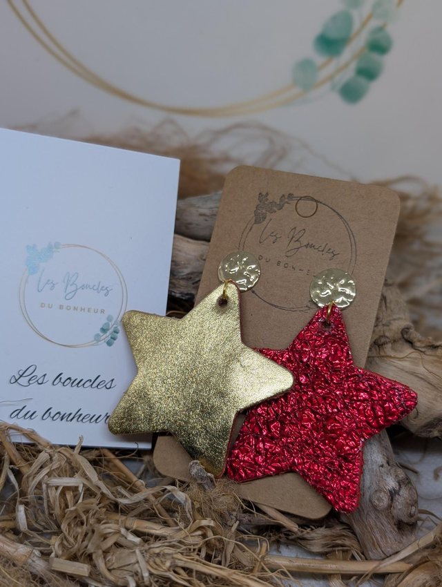 Boucles d&#039;oreilles Asymétrique mo510