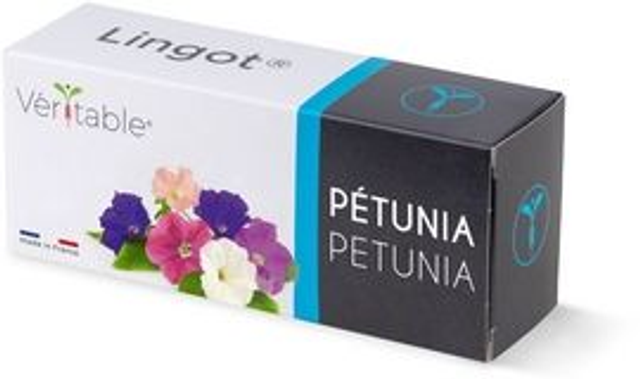 Véritable Lingot Petunia