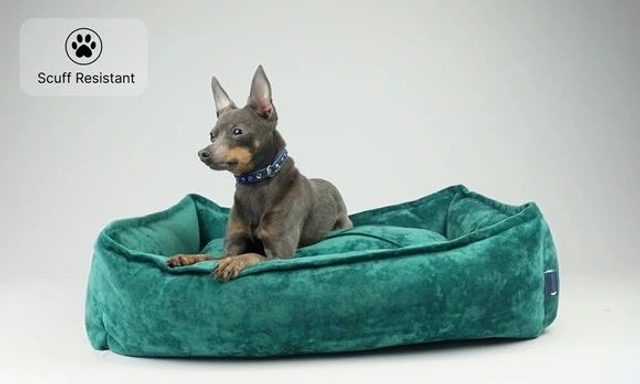 Hillfoot & Paws Scuff Tough Nest Dog Bed - Green Velvet