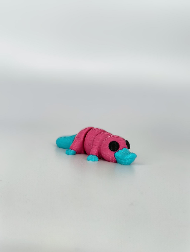 Pedro the Platypus Jnr