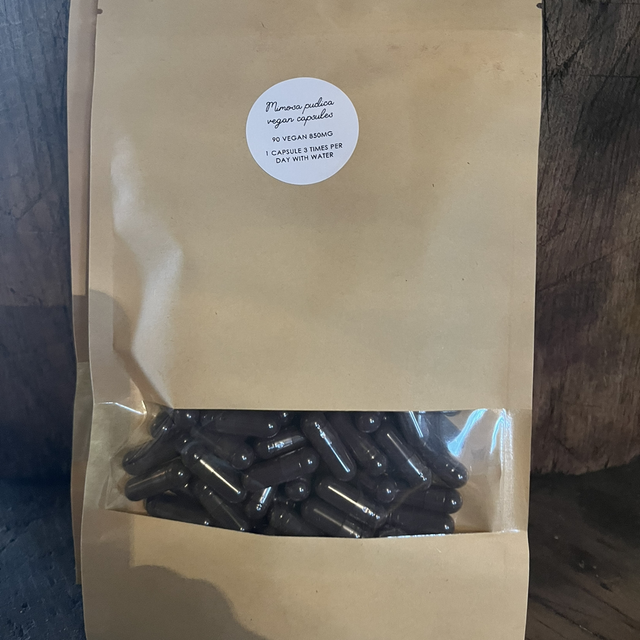 Mimosa pudica capsules 