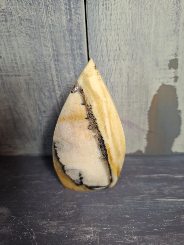 Petrified Wood Teardrop 