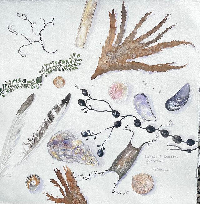 Seashells and feathers 19th June 2026 BYLEY 