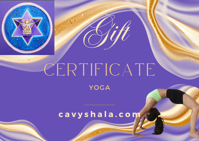 Cours privé pour 1 personne, 1h de yoga au shala ou en visio