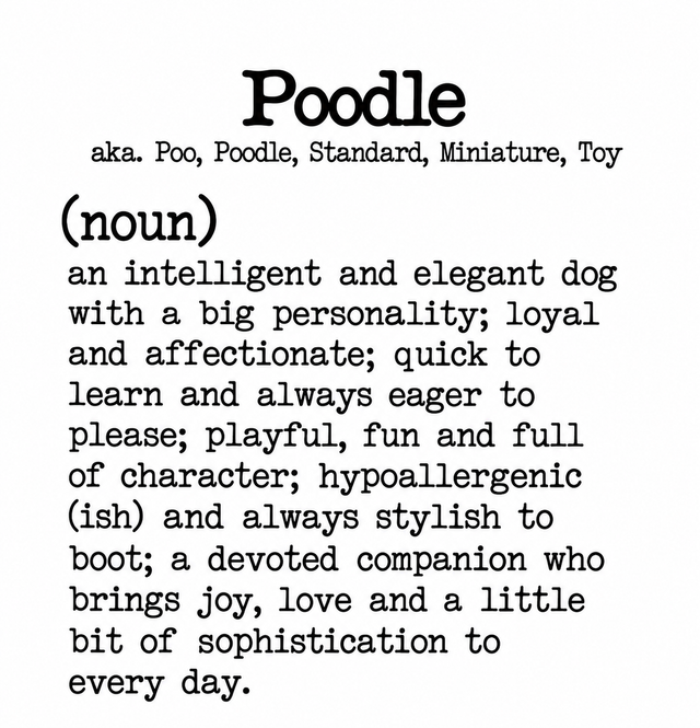 Dog Breed Definition Mug – Poodle | Funny Dog Lover Gift