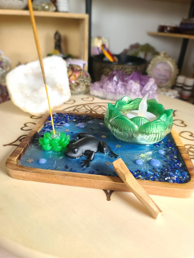 Plateau de fumigation 🐸 Métamorphose de la grenouille rectangulaire