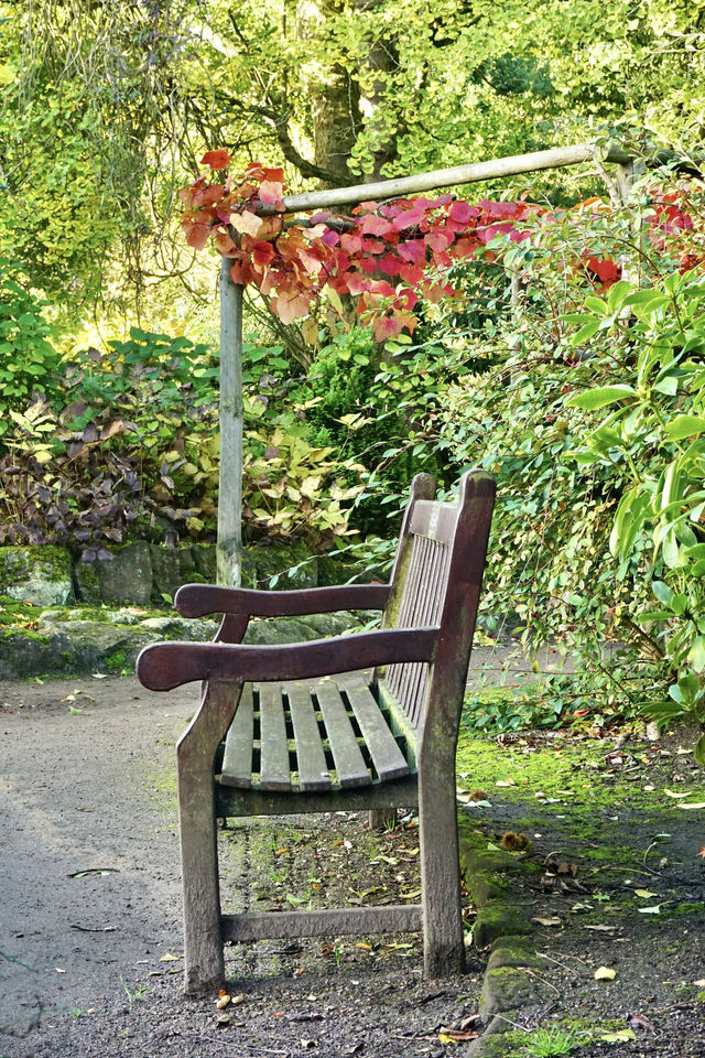 Meet me at Our Bench - Print