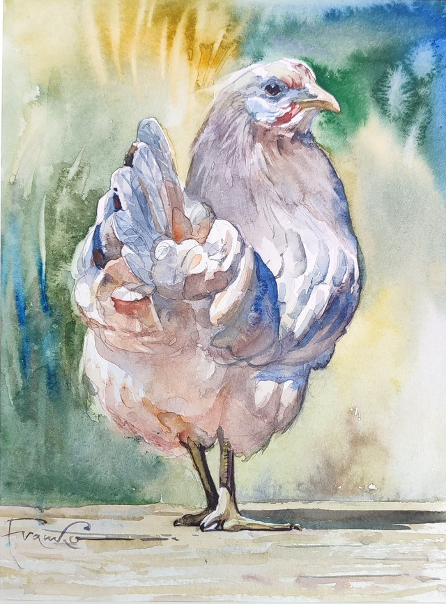 Kura, 35x28 (24x18 w świetle passe-partout) akwarela 2025