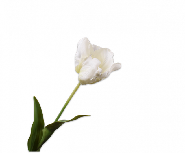 Silk-Ka Tulp Steel Wit 84cm