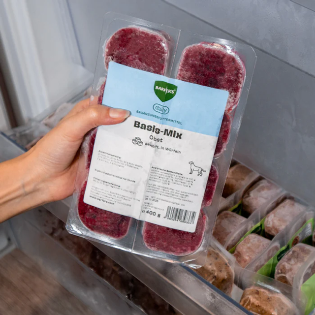 Würfel: Basis Obst-Mix 400g