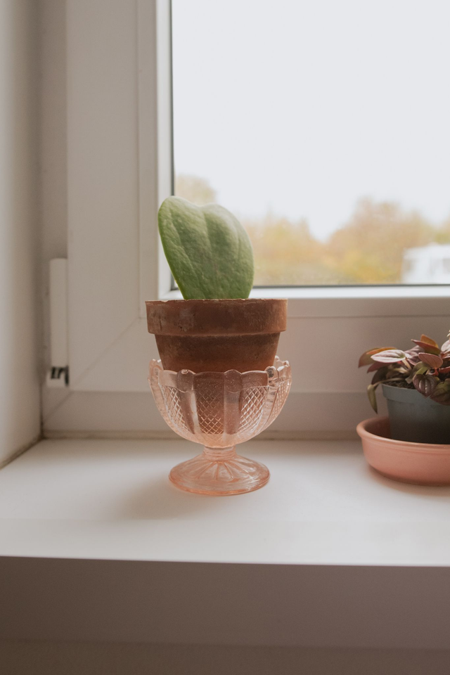 Petite coupe à dessert vintage rose ✨