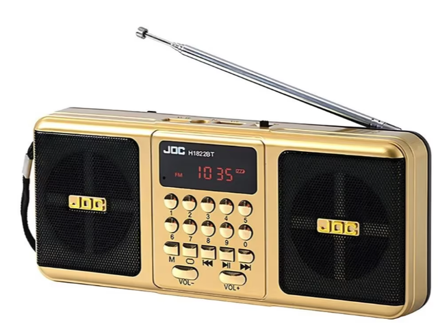 Draagbare FM radio met Bluetooth en SD kaart ondersteuning