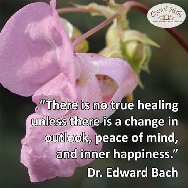 Bach Flower Essence Treatment