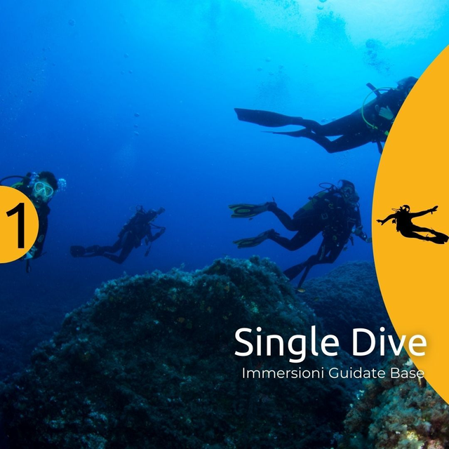 Ustica - Single Guided Dive