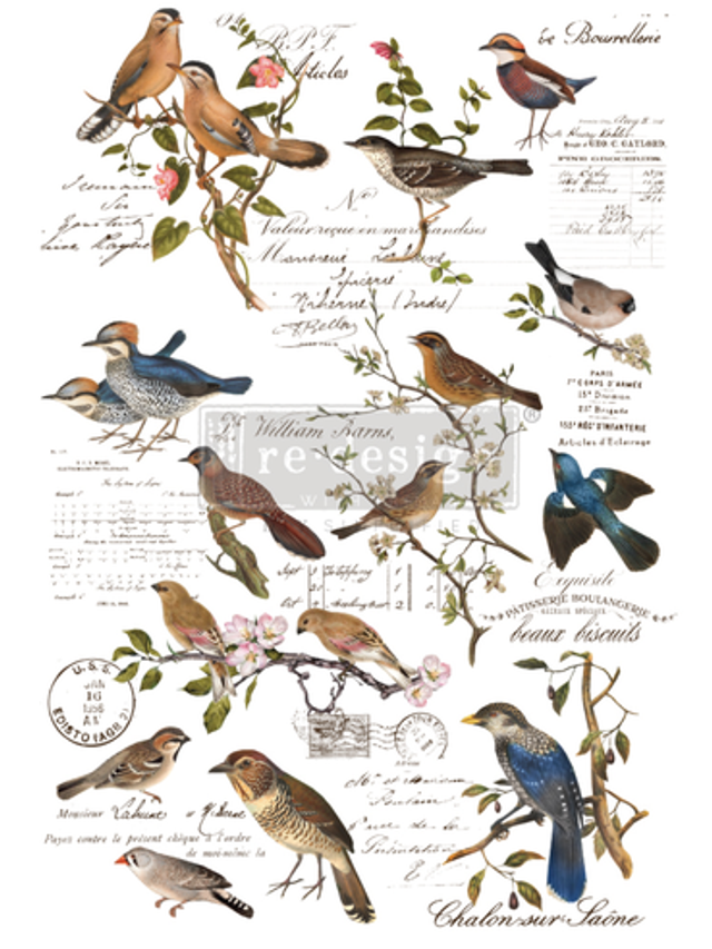 Postal Birds