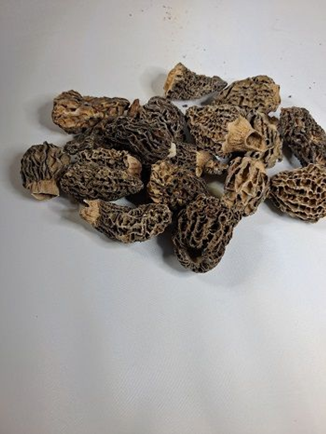 Morilles déshydratées 50g 