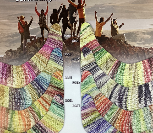 Activity Sort.370