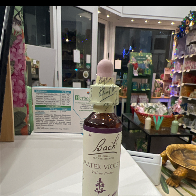 Fiori di bach 34 Water Violet