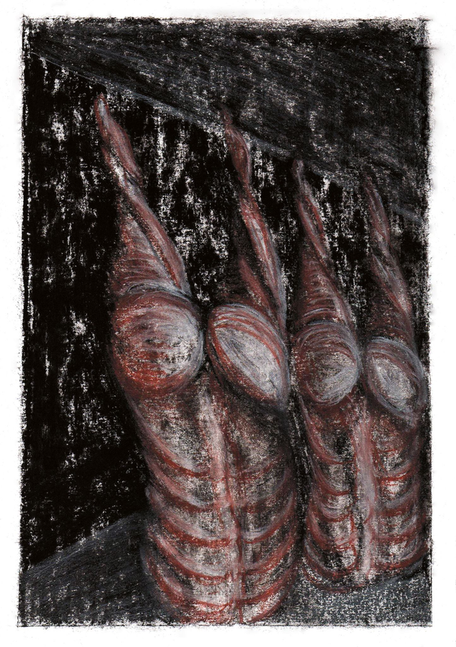 Croquis d'après Uncarné_18, "Carcasses" tricolore