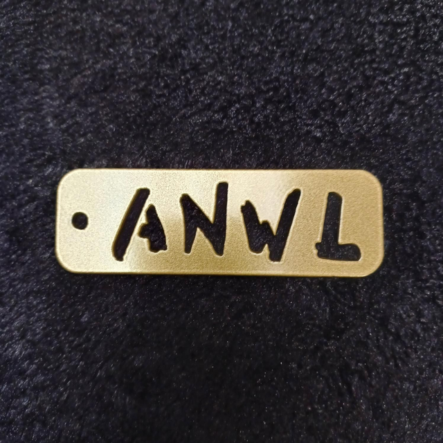 Anti-Nowhere League Keyring
