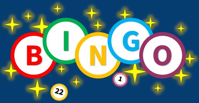 Bingo Night Entry Ticket