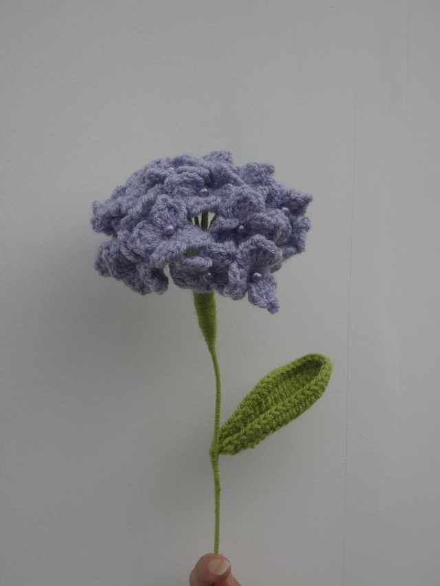Hortensia violet
