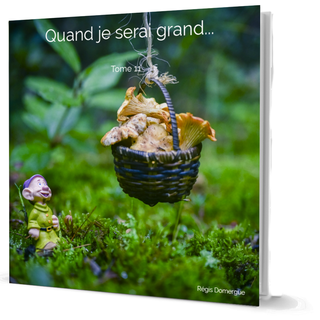 Quand je serai grand, tome 11