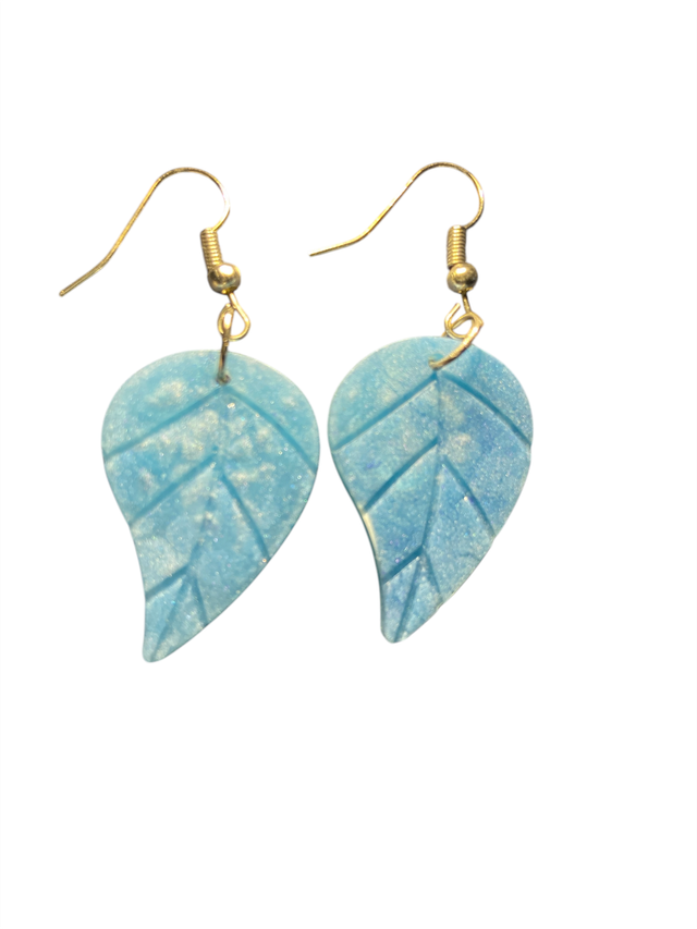 Boucle d&#039;oreilles 