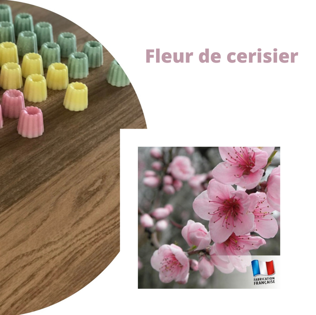 Fleur de cerisier