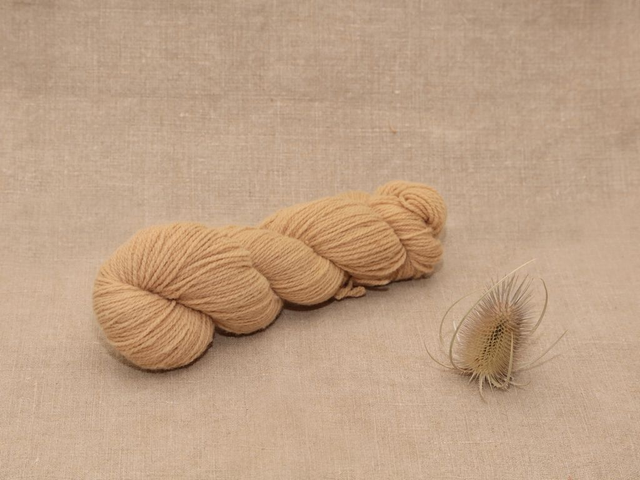 Mérinos Fingering - Echeveau 50g Rumex