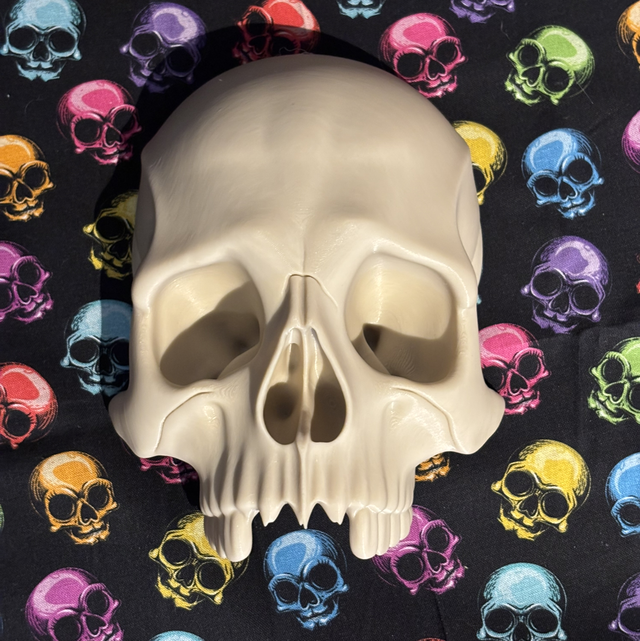 3d printed skull wall hanging 