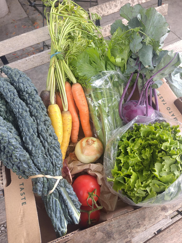 Organic Fruit and Vegetable Box - Regular size, 4 weekly deliveries