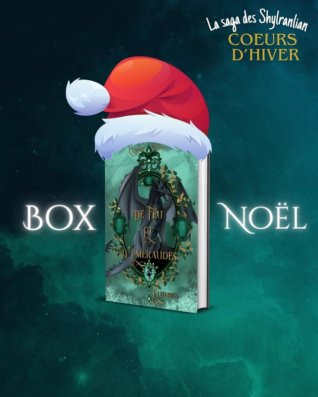 Box de noël Eldàrïss relié