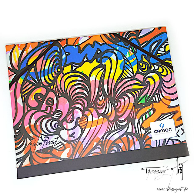 CANSON - CARTON A DESSIN COULEURS 1 - CA053