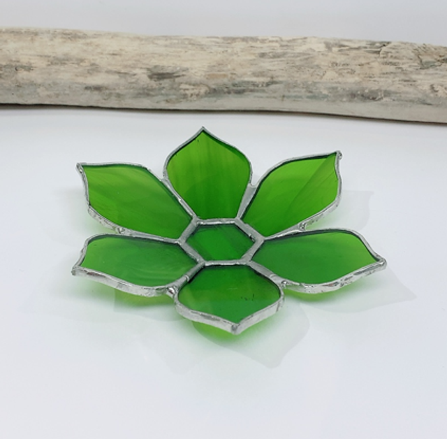 Coupelle Verte Translucide