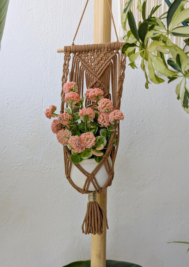 ENOLA Suspension pour plante