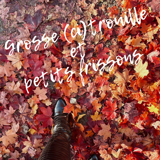 Grosse (ci)trouille et petits frissons (2)