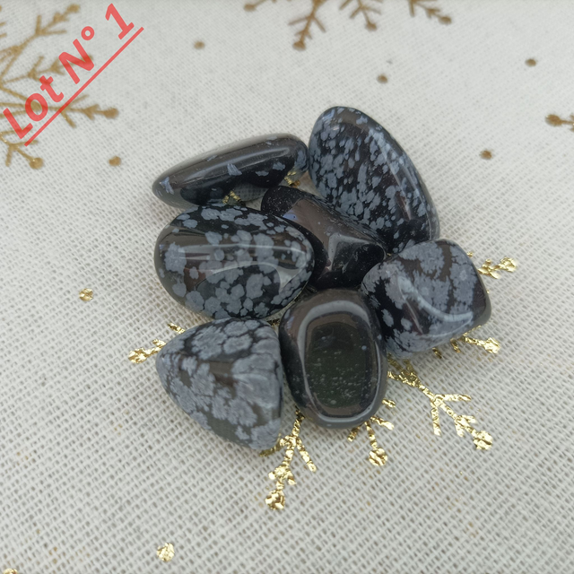 Obsidienne Neige / Pierres Roulées / Lot N° 1