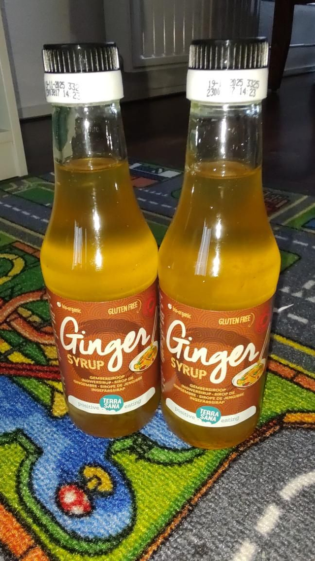 Terra Sana - Gembersiroop 250ml