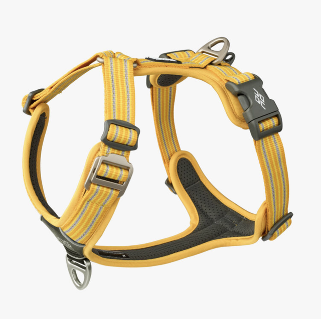 V3 Comfort Walk AIR 'Lemon' Geschirr von Dog Copenhagen