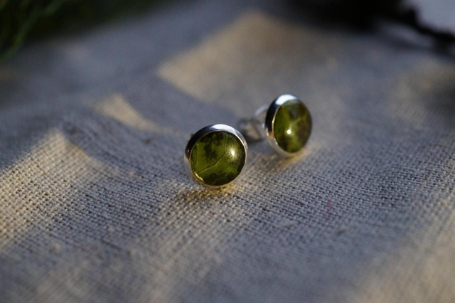 Clous d'oreilles - Lierre