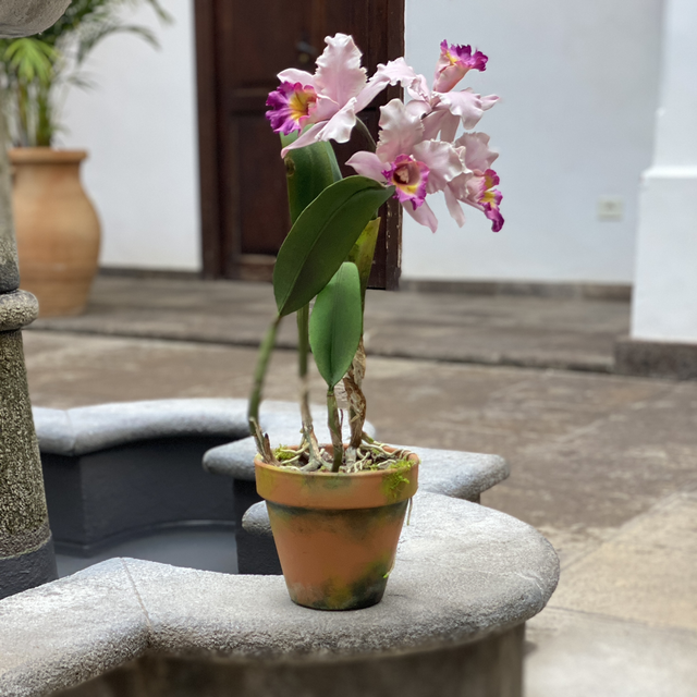 Orquídea Artesanal 4 flores / Color Rosa Palo