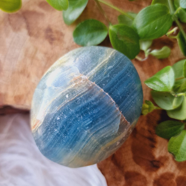 Blue Onyx Palm