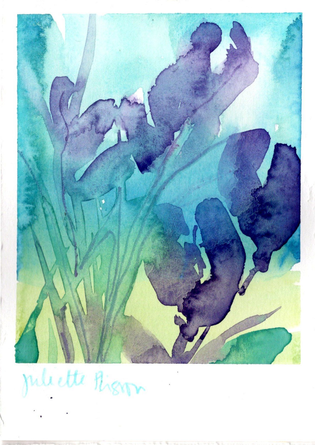 Aquarelle Fleurs