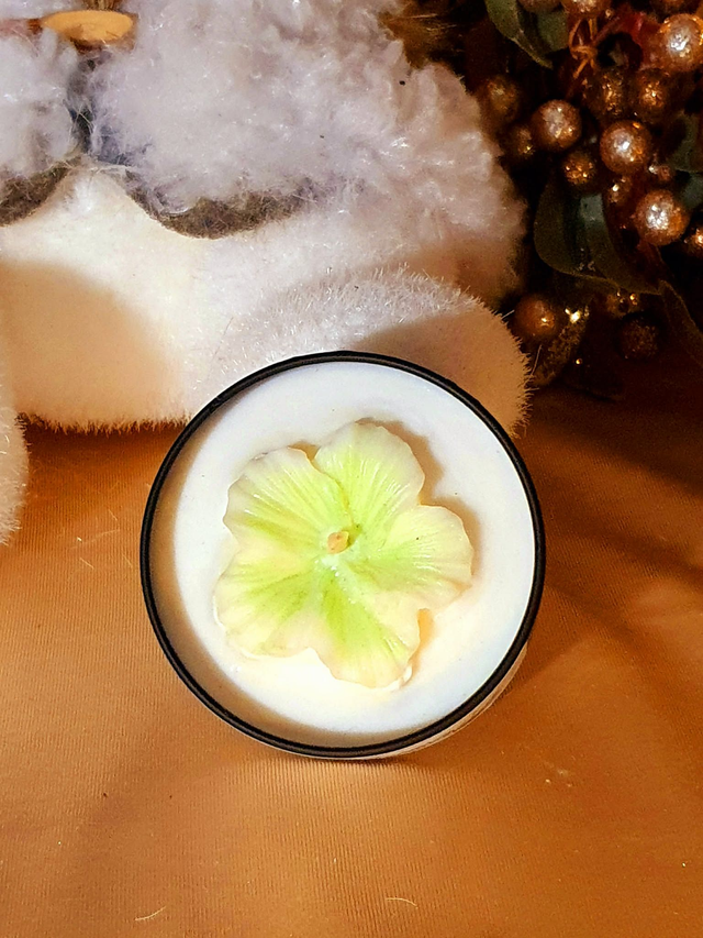 Bougie Pin des Landes (Hibiscus)